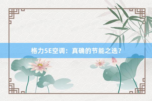 格力5E空调：真确的节能之选？