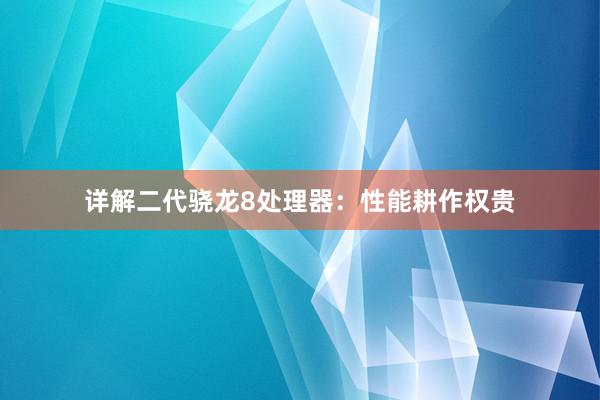 详解二代骁龙8处理器：性能耕作权贵